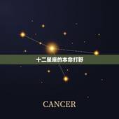 十二星座的本命打野，十二星座各叫什么名字