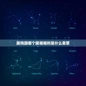 属狗跟哪个属相相刑是什么意思，属狗和什么属相相冲