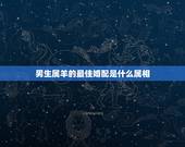 男生属羊的最佳婚配是什么属相，90后，男性属羊的可与什么属相相配最好？