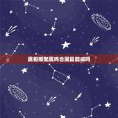 属相婚配属鸡合属鼠能成吗，属鸡和属鼠的合的来吗？