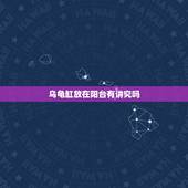 乌龟缸放在阳台有讲究吗，室内摆放乌龟的位置有什么说法吗？
