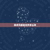 属虎与属鼠合作怎么样，属狗配什么属相更好