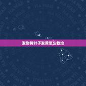 发财树叶子发黄怎么救治，水养的发财树叶子发黄了怎么办