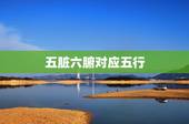 五脏六腑对应五行，五行与五脏的关系