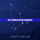 兔与马婚配好还是兔与猴婚配好，属兔的和属马的相配好吗