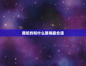 属蛇的和什么属相最合适，女孩属蛇更佳婚配属相