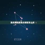 属虎男和属兔女婚配怎么样，属虎的男的和属兔女的是不是不合