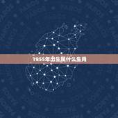 1955年出生属什么生肖，1955年是什么年庚