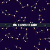 婚配子卯相刑可以结婚吗，婚姻中属相相刑是什么意思