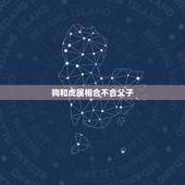 狗和虎属相合不合父子，狗和虎属相好吗