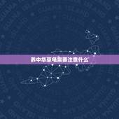 养中华草龟需要注意什么，中华草龟要怎么养？