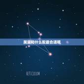属鼠和什么配最合适呢，属鼠的佩戴什么玉好
