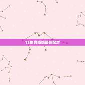 12生肖婚姻最佳配对，12生肖最佳配对
