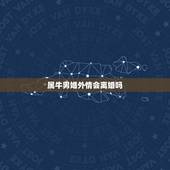 属牛男婚外情会离婚吗，1973属牛男对于婚外情