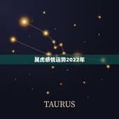 属虎感情运势2022年，属虎2021年运势如何