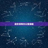 适合领导办公室绿植，老板办公室适合摆放什么植物