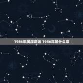 1986年属虎命运 1986年是什么命