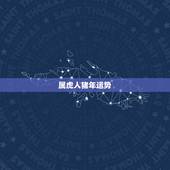属虎人猪年运势，属虎女性腊月的运气和财气如何