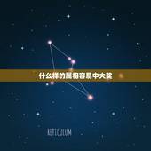 什么样的属相容易中大奖，中奖代表什么生肖