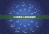 67年属羊人的命运如何，67年属羊女的晚年命运