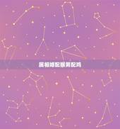 属相婚配猴男配鸡，属猴男与属鸡女相配吗