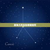 属兔三月出生婚姻如何，2022 属兔的婚姻和命运