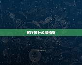 客厅放什么绿植好，客厅里摆什么鲜花合适？配什么绿植好？