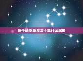 属牛的本命年三十忌什么属相，牛年属牛的是本命年要怎样避忌下？