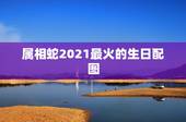 属相蛇2021最火的生日配图，2021年属蛇虚岁多大