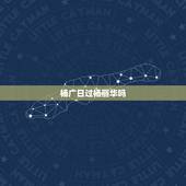 杨广日过杨丽华吗，正史上的杨丽华到底是个怎样的人？有什么历史记载？