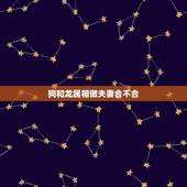 狗和龙属相做夫妻合不合，属狗和属龙能结合夫妻吗？