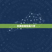 夫妻合婚生辰八字 免费算婚姻