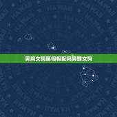 男鸡女狗属相相配吗男猴女狗，生肖配对姻缘男鸡女狗