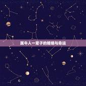 属牛人一辈子的婚姻与命运，1985年属牛的一生命运