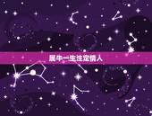 属牛一生注定情人，属牛的女人的情人