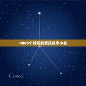 4000个好听的男孩名字小名，两个重叠的好听的男孩小名