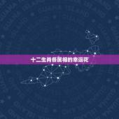 十二生肖各属相的幸运花，请问十二生肖不同星座的幸运数字，幸运色，幸运物