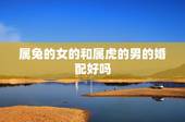 属兔的女的和属虎的男的婚配好吗，属虎男和属兔女的婚姻好吗
