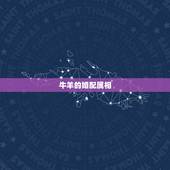 牛羊的婚配属相，属相婚配