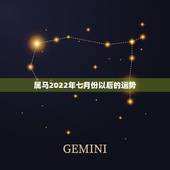 属马2022年七月份以后的运势，90年属马男2022年运势？