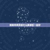 搜属鸡男孩和什么属相在一起好，属鸡男和什么属相最配