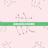 属相和属相之间的婚配，关于属相婚配