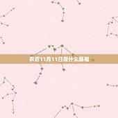 农历11月11日是什么属相，1998年农历11月11日出生的人是什么星