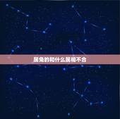 属兔的和什么属相不合，男属兔的和什么属相最配