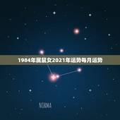 1984年属鼠女2021年运势每月运势，1984年女鼠2021年运势及