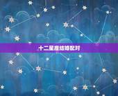 十二星座结婚配对 十二星座爱情配对