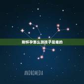 刚怀孕怎么测孩子是谁的，如果老婆怀孕了，那怎么鉴定孩子是自己的？