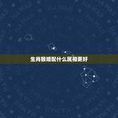 生肖猴婚配什么属相更好，生肖猴和什么属相相配