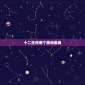 十二生肖哪个属相最臭，十二生肖中那个动物最臭名远扬啊？