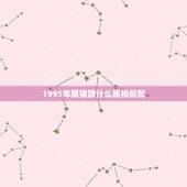 1995年属猪跟什么属相般配，属猪和什么属相相冲